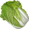 Propitious time for plant development, which crops are leaf or stem. Leaf